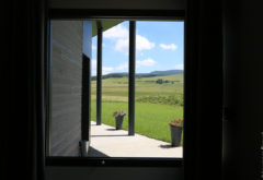 Gîte  - Extérieur - La Mandra juillet