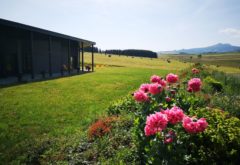 Gîte  - Extérieur - Mandra foin fleurs